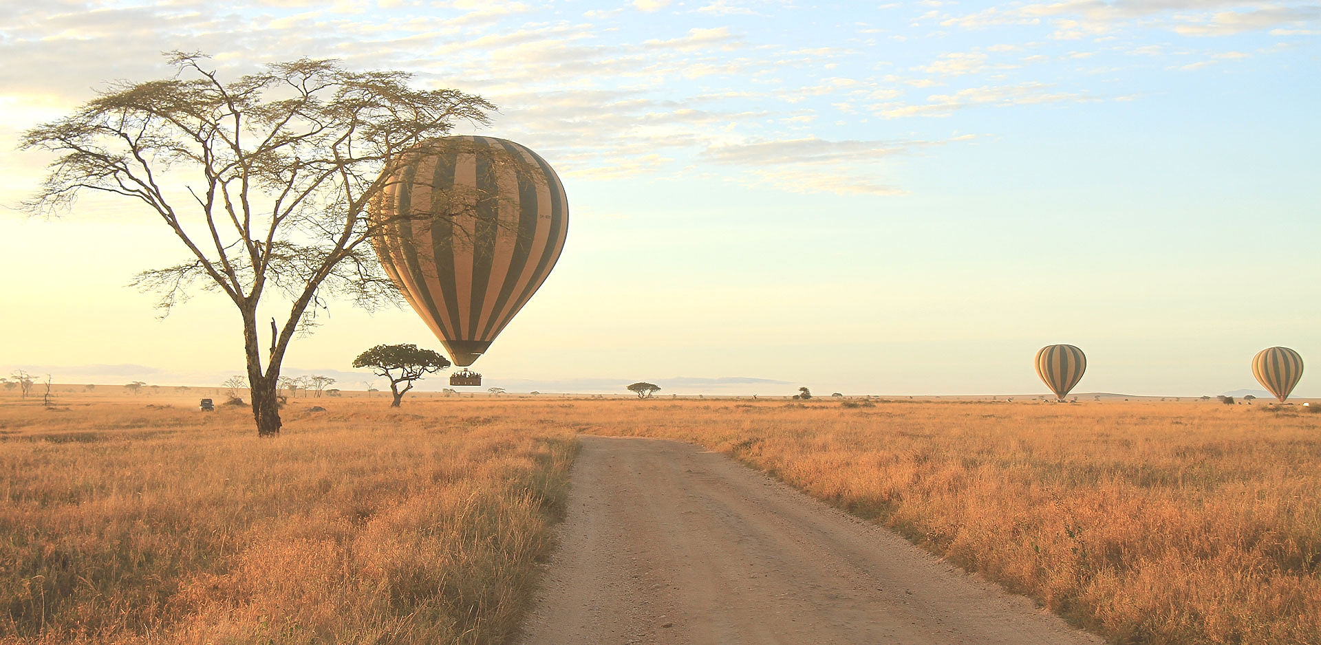 Baloon Safaris