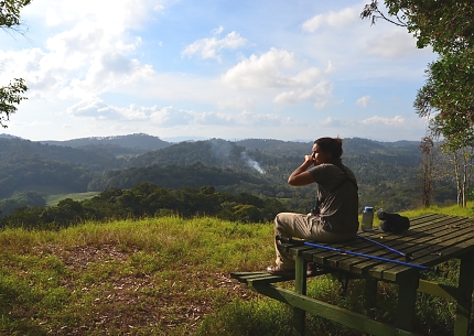 Amani Forest
