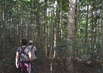 Amani Forest Hiking off the Trail