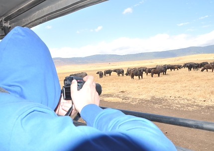 Game drives in Ngorongoro Crater