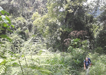 Hiking in Udzungwa Mountains National Park