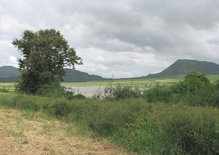 Mkomazi National Park