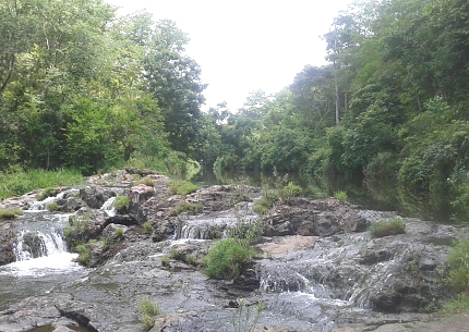 River in Udzungwa Mountains National Park