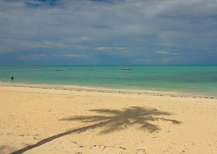 Spicy Island of Zanzibar