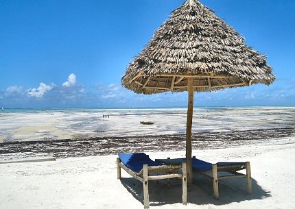 Spicy Island of Zanzibar