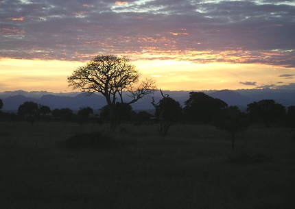 Sunset in Mikumi National Park