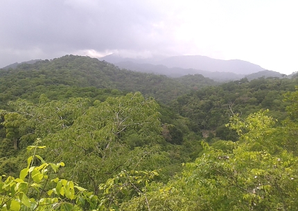 Hiking in Udzungwa Mountains National Park