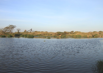 Ngorongoro Crater
